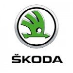 Cheap Skoda Diamond Car Mats